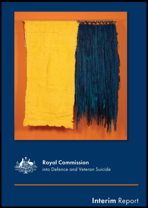 DVSRC Interim Report cover